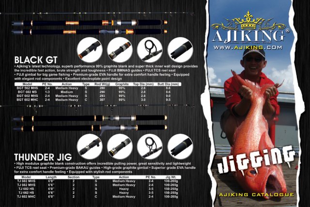 New Ajiking jig rods